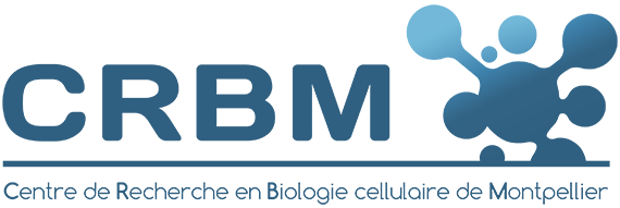 Centre de Recherche en Biologie cellulaire de Montpellier